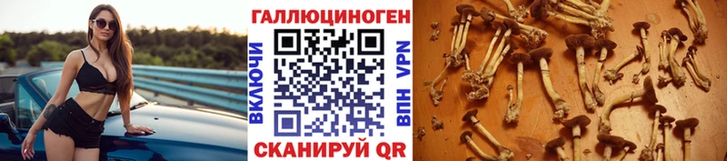Галлюциногенные грибы MAGIC MUSHROOMS  ссылка на мегу вход  Верхний Уфалей  купить  